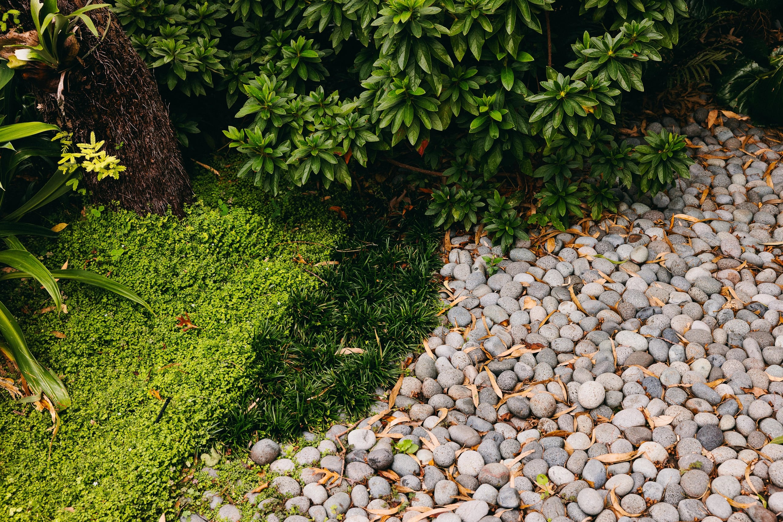 BUX00_LifestyleTextures_LR-8295